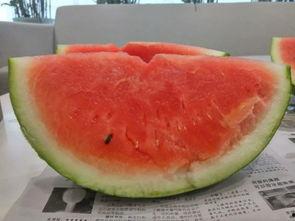 吃网红的瓜有风险,揭秘网络八卦背后的真相与陷阱  第3张